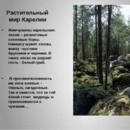 Karelya'yı dolaşmak, çevremizdeki dünya (kıdemli grup) hakkında bir ders sunumu coğrafyada Karelya konusu üzerine sunum